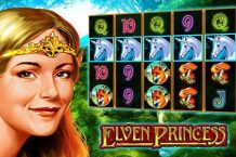 Игровой аппарат Elven Princess